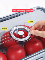 Seal Timer Food Container - ARKAY KOLLECTION